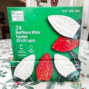Home Accents Holiday 24ct Red/Warm White Faceted C9 LED Christmas Lights